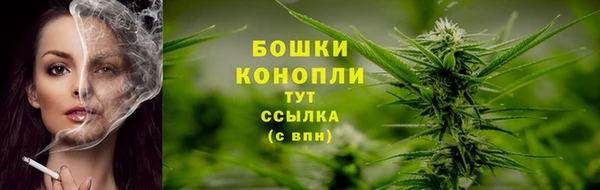 гашик Красноперекопск