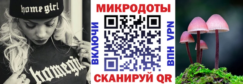 Псилоцибиновые грибы мицелий  Купить где  Магадан 